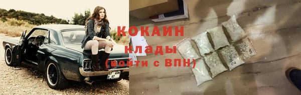 шишки Струнино