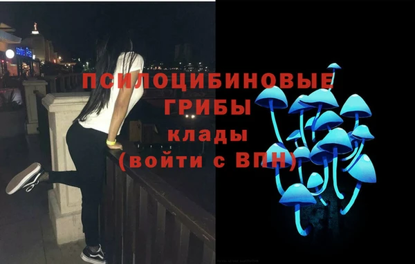 молекула духа Верея